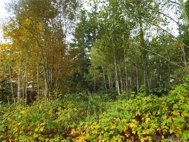 255th 295th St E, Graham, WA 98338 - photo 6