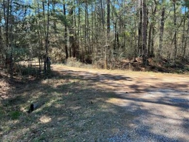 Lot 91 Indian Trail, Lake Brownwood, TX 76801 - photo 3