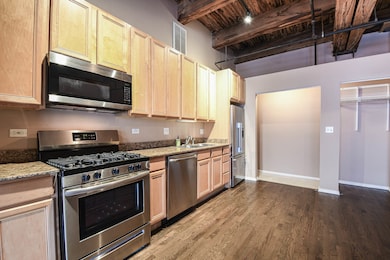 Capitol Hill Lofts unit 713, Chicago, IL 60661 - photo 4