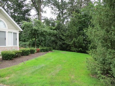 Green space - Tree line