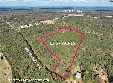 0 Woodthrush Rd, Chapin, SC 29036 - photo 2