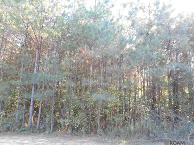 7430-D Lane Rd, Ethel, LA 70730 - photo 3