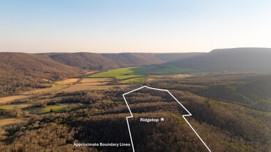 Approximate Boundary 2