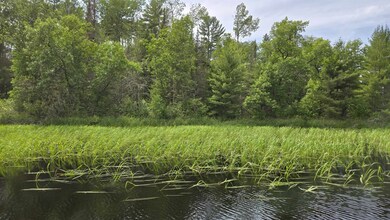 TBD 40N Rollick Creek, Crane Lake, MN 55725 - photo 4