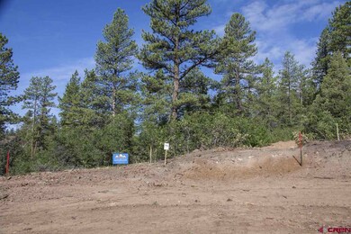 0 Calico Ct unit 696692, Durango, CO 81301 - photo 4