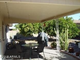 back yard 1