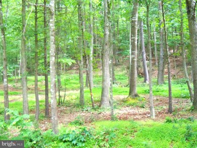 0 Linda Ln unit VASH117426, Basye, VA 22810 - photo 3