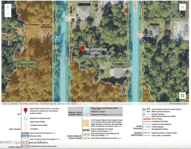 Flood Zone