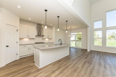 226 Talbot Way, Wentzville, MO 63385 - photo 4
