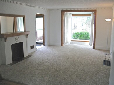 Living room & fireplace