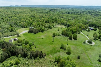 7319 & 7317 Concord Rd, Concord, NY 14141 - photo 4