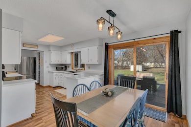 330 8th St E, Hector, MN 55342 - photo 5