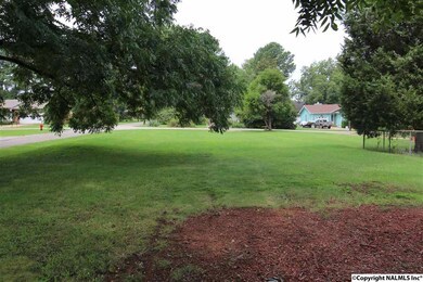 4322 Sullivan St, Madison, AL 35758 - photo 5