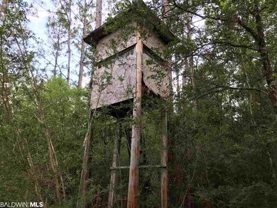 0 New Hope Church Rd, Robertsdale, AL 36567 - photo 4