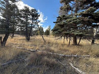 310 Morley Place, Fort Garland, CO 81133 - photo 5