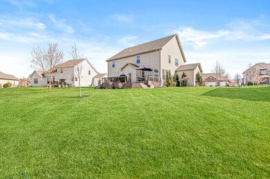 Large lot with plenty of room for pets and people!