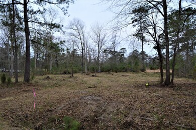 1.35 E Wilmington St, Burgaw, NC 28425 - photo 4