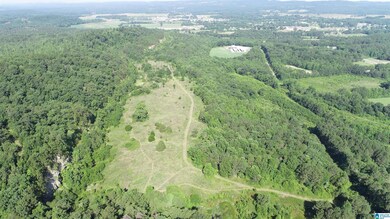 0 U S 231 unit 21390284, Oneonta, AL 35121 - photo 4