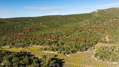 Aerial overview of property's location with property parcel outlined and a mountain backdrop