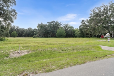 17129 SW 11 Ct, Newberry, FL 32669 - photo 3