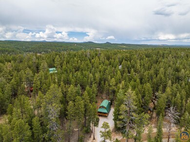 Cabin is nestled in the pines