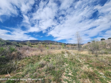 240 County Road 245, New Castle, CO 81647 - photo 6
