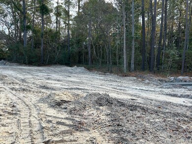 104 Stones Throw Ln, Wilmington, NC 28411 - photo 4