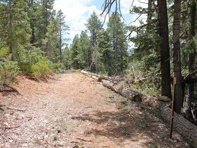 1260 W View Dr unit ZVME A-31, Duck Creek Village, UT 84762 - photo 7