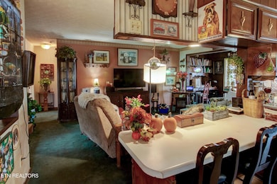 732 Echo Hill Way, Maryville, TN 37801 - photo 7