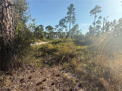 1086 Ainsworth St E, Lehigh Acres, FL 33974 - photo 3