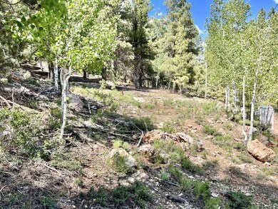 930 E Appaloosa Dr, Duck Creek Village, UT 84762 - photo 5