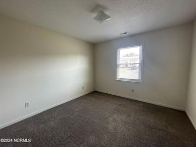 204 Appaloosa Dr, Jacksonville, NC 28540 - photo 4