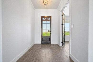 1009 Monarch Ct, Poolville, TX 76487 - photo 5