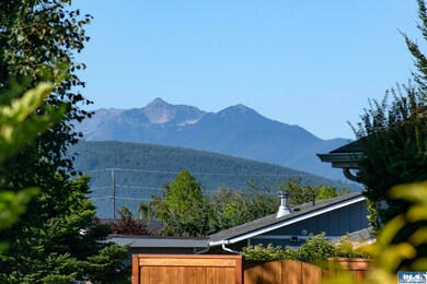 Partial view of the Olympic Mountains from the living room.
