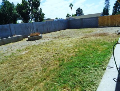 back yard 1