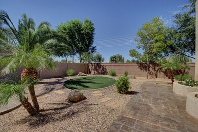 Backyard with Artificial Turf