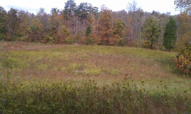 1 Bolton Hollow Rd, Somerset, KY 42501 - photo 3