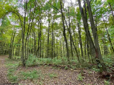 TBD Helens Run Rd, Worthington, WV 26591 - photo 5