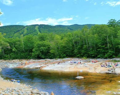 139 S Peak Rd unit 17, Lincoln, NH 03251 - photo 3