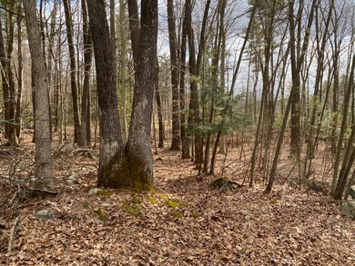 403 & 404 Spring Brook Rd, East Stroudsburg, PA 18302 - photo 3