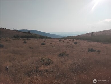 5 Painted Rock Rd, Tonasket, WA 98855 - photo 6