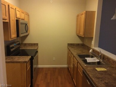 709 Aqua Marine Blvd unit 709, Avon Lake, OH 44012 - photo 7