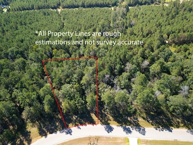 186 Exploration Rd, New Waverly, TX 77358 - photo 5