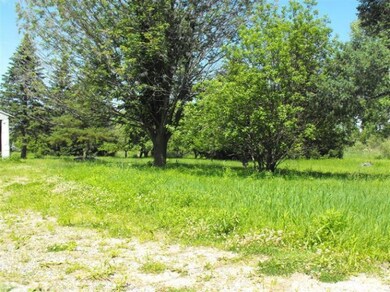 0 W Clarksville Rd unit 13036536, Clarksville, MI 48815 - photo 4