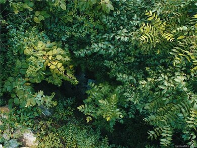 Dick Branch Creek hidden beneath a thicket.