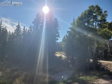 309 Pinaceae Heights, Divide, CO 80814 - photo 7