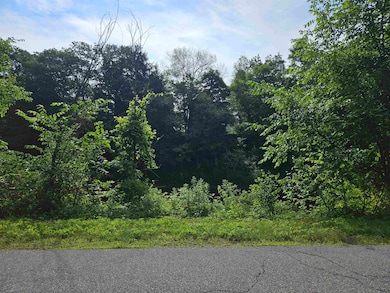 71 Riverside Ave, Lisbon, NH 03585 - photo 7