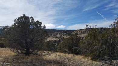 20190210_132434_resized