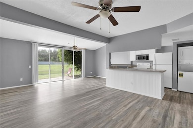 161 Coco Plum Dr, Davenport, FL 33897 - photo 3