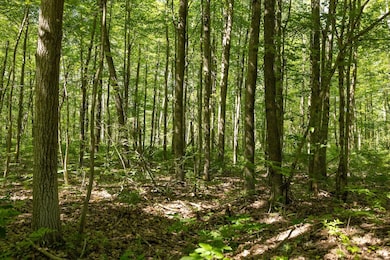 00 V/L Comstock Ave unit Par B, Bitely, MI 49309 - photo 4